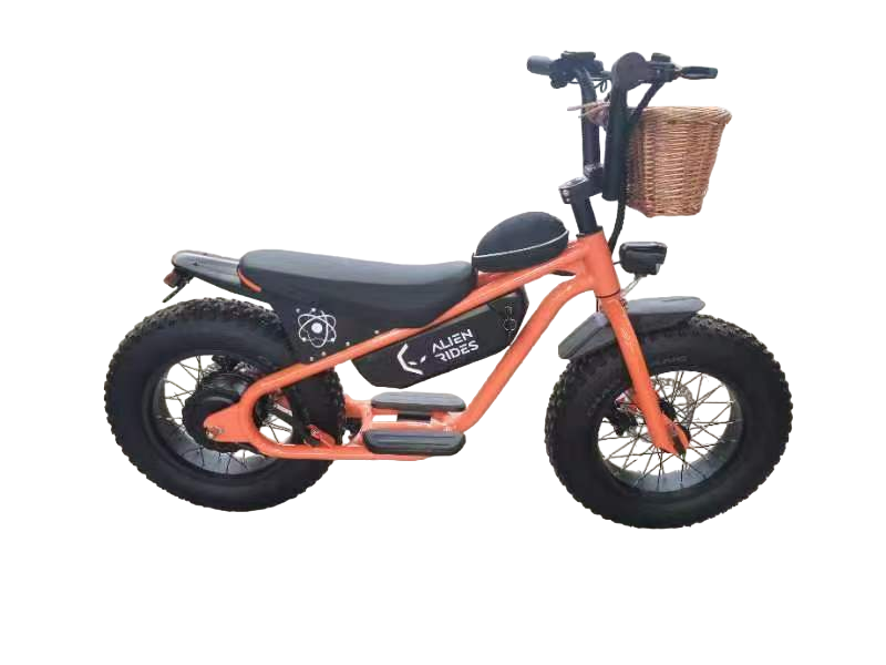 AR Atom 1000 Watt Mini Electric Bicycle