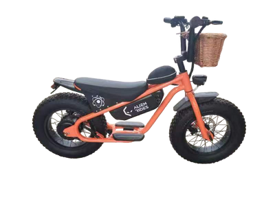 AR Atom 1000 Watt Mini Electric Bicycle