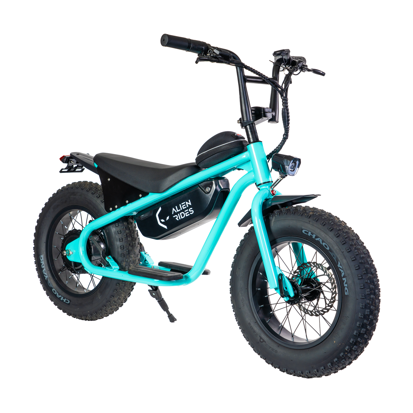 AR Atom 1000 Watt Mini Electric Bicycle