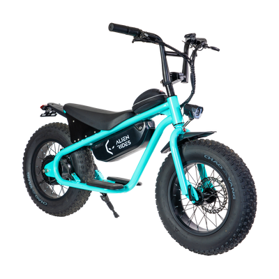 AR Atom 1000 Watt Mini Electric Bicycle